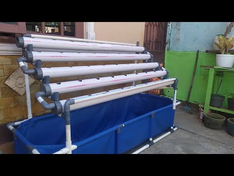 Видео: Сделай сам: как построить аквапоническую систему (часть 1)