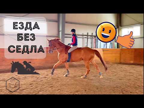 Видео: ЕЗДА БЕЗ СЕДЛА НА ЛОШАДИ