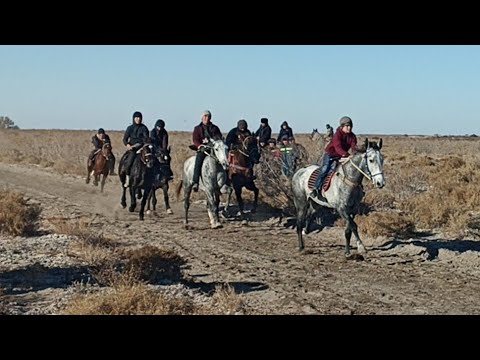 Видео: 10-12-2024 ж Қоңырат Ниетбай сүндет той