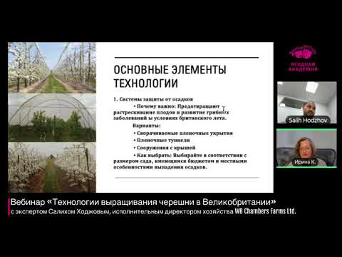 Видео: Вебинар «Технологии выращивания черешни в Великобритании»