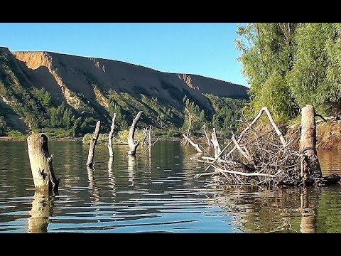 Видео: В ЭТИХ КАРЕНАХ ЖИВУТ ОГРОМНЫЕ КУНЕМО!!!!! Трофейная рыбалка в сентябре!!!!