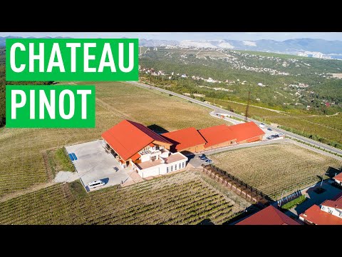 Видео: CHATEAU PINOT — самая интересная винодельня