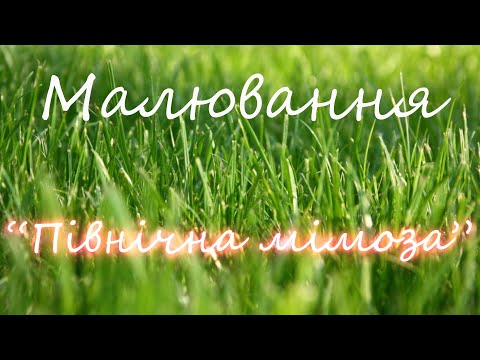 Видео: Малювання "Північна мімоза"