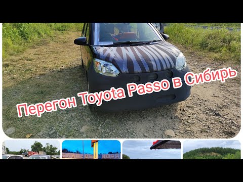 Видео: Toyota Passo. Перегон из Владивостока