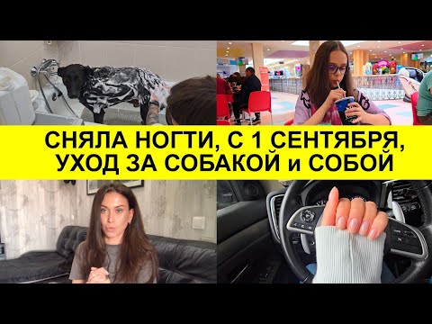 Видео: Снова в школу. Покупки. Подстриглась, сняла маникюр. Уход за собакой, уход за собой.