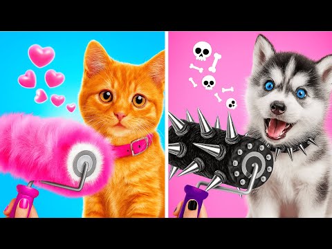 Видео: Секретные Дома: Собака vs Кошка 🐾 | Эпическая Битва Строительства