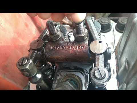 Видео: БРАК❗️ ТРАНСПЛАНТАТ✂️