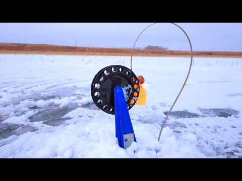 Видео: Только поставил жерлицы и сразу начались сработки. Декабрь 2024.