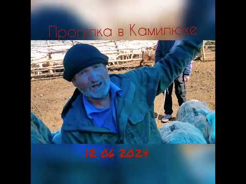 Видео: 22 июня 2024 г.