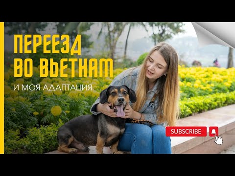 Видео: Переезд во Вьетнам: как я адаптировалась к жизни в другой стране