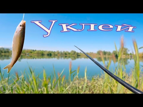 Видео: Риболов на уклей и бабушки през пролетта.4К.Субтитри.