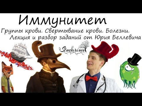 Видео: Свертывание крови. Группы крови. Иммунитет. Болезни. Лекция, разбор заданий от Юрия Беллевича