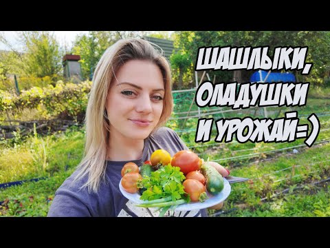 Видео: Дачный выходной // Ящик для компоста // Шкодная Муська