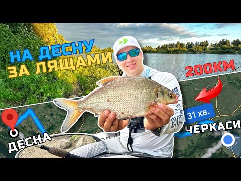 Видео: ⚠️ РОЗДАЧА ЛЯЩА НА ДЕСНІ💥 В ПОГОНІ ЗА ДЕСНЯНСЬКИМ ЛЯЩЕМ🎣 РИБОЛОВЛЯ НА ФІДЕР🇺🇦