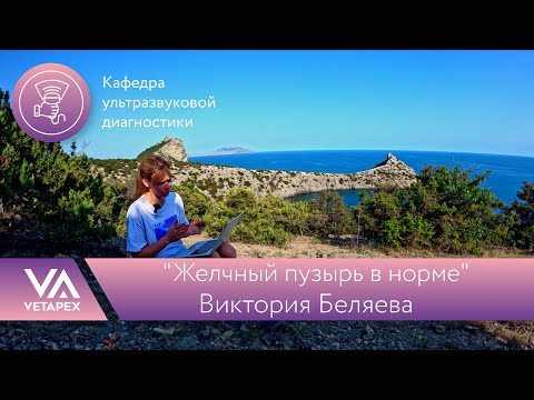 Видео: Кафедра УЗИ "Желчный пузырь в норме"