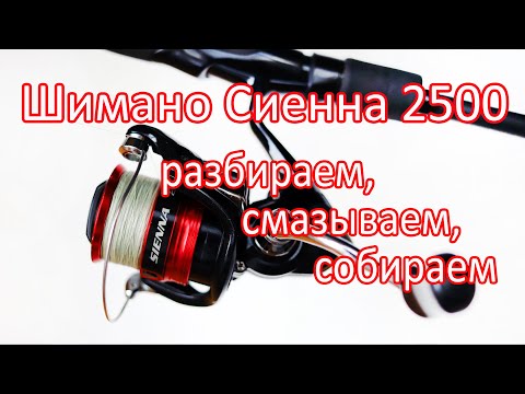 Видео: Год назад купил Шимано Сиенна 2500. Пора разобрать и смазать! SHIMANO SIENNA FG 2500