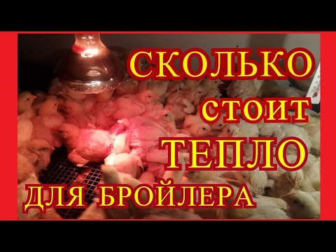 Видео: Расходы на отопление бройлеров