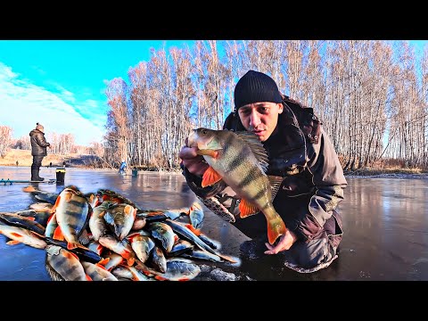 Видео: ПЕРВЫЙ ЛЁД!!! Даже и не мечтали о ТАКОЙ РЫБАЛКЕ