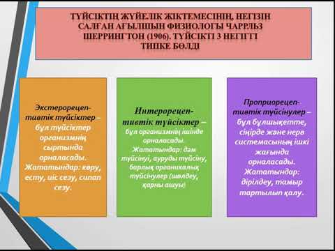 Видео: Түйсік туралы жалпы ұғым +
