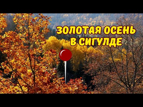 Видео: Золотая осень в Сигулде
