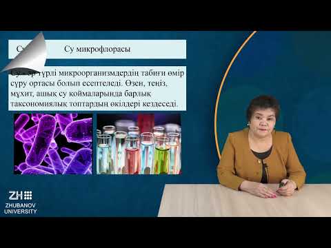 Видео: ИзимоваР Микробиология және вирусология негіздері №10дәріс  Микроорганизмдер экологиясы