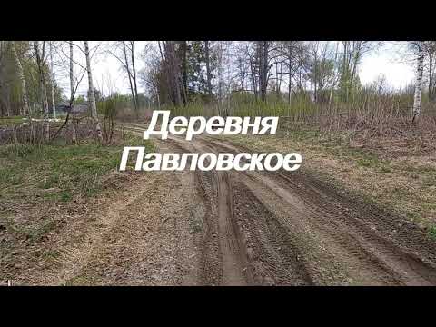Видео: Д. Павловское