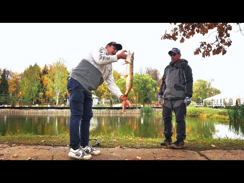 Видео: Как поймать щуку. Рыбалка на щуку. Щука на платнике. (Часть 1)