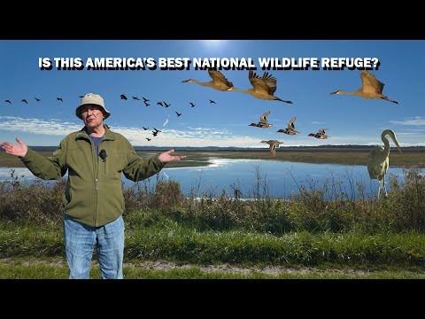 Видео: Является ли Монтесума Северо-Западным Регионом ЛУЧШИМ убежищем в Америке?