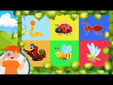 Видео: Что мы увидели в траве - Насекомые - Развивающий мультик для детей