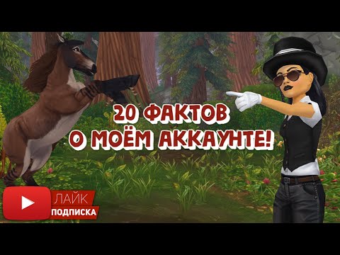 Видео: 20 фактов о моём АККАУНТЕ в Star Stable Online | Игра про лошадей