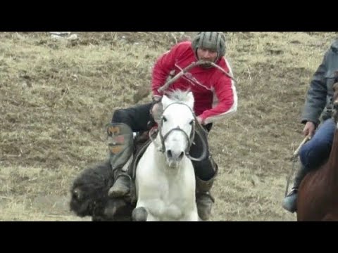 Видео: БУЗКАШИ Дар н Ховалинг д Садбарго (кисми 1)26 12 2020 г. УЛОК ХУЛБУК ТВ
