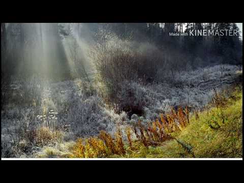 Видео: Макпал Исабекова&Иван Бреусов -Ноябрь /текст песни