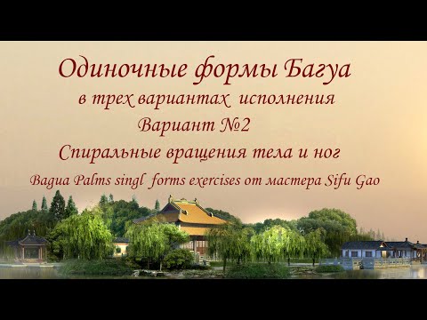 Видео: Bagua Palms singl  forms. Вариант №2. Спиральные движения тела, рук и ног.  Master Sifu Gao.