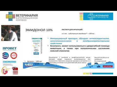 Видео: ПОПОВ К. О. Мероприятия, направленные на стабилизацию состояния организма приплановых вакцинациях...