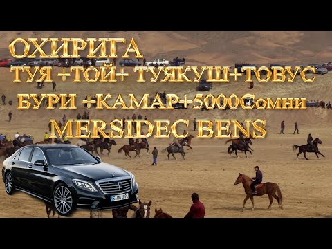Видео: Тожикистонда улок охири Mersides Bens+ туя+той+бури+туякуш+товус+5000 сомон 23феврал исфара