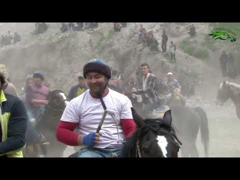 Видео: Бузкашии д Косатарош 13 04 2025 UMED VIDEO Tajikistan zarafshon
