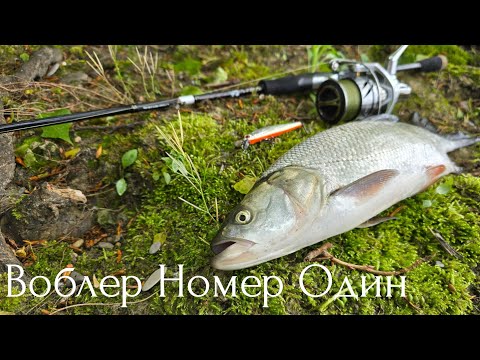 Видео: Топ Воблер Для Ловли Жереха! #спиннинг #жерех #белыйхищник