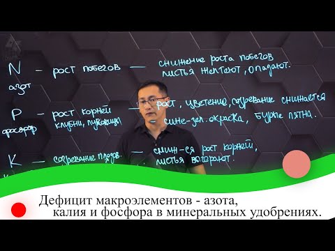 Видео: Дефицит макроэлементов - азота, калия и фосфора в минеральных удобрениях.