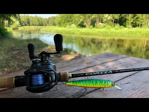 Видео: Тест спиннинга  Major Craft Corzza CZC-662MH и Shimano Curado MGL 71HG
