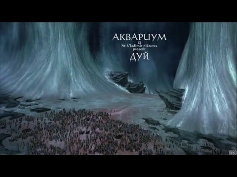 Видео: Аквариум - Дуй