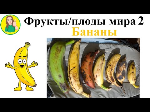 Видео: Фрукты   плоды мира 2 – Бананы Сыроедение Фрукторианство