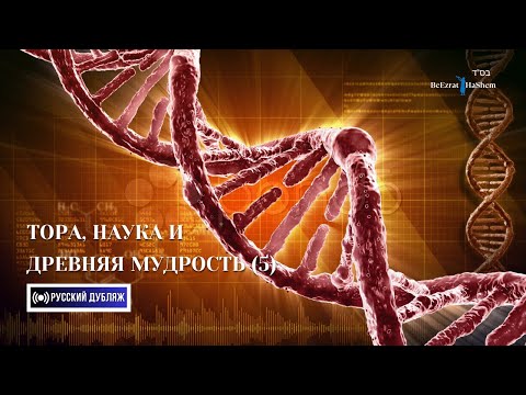 Видео: 5. Тора, Наука и Древняя Мудрость ｜Часть 5 ｜ Русский дубляж ｜ Раввин Ярон Реувен
