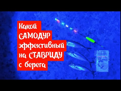 Видео: Какой самодур эффективней на СТАВРИДУ с берега.
