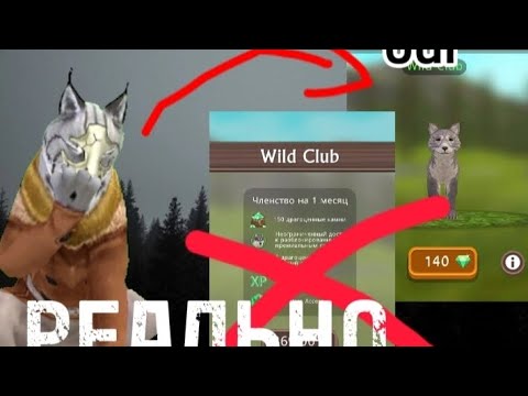 Видео: БАГ НА БЕСПЛАТНЫЙ WILD CLUB💋 | WILDCRAFT |