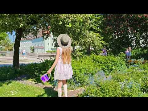 Видео: 30 октября 2025 г.