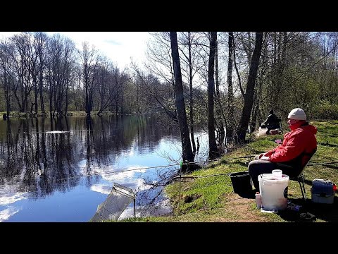 Видео: Рыбалка с Ночевкой на Любимом Месте! Поймали Леща на Лесной Реке! Жареная Рыба. Лещ на Фидер.