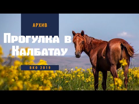 Видео: Прогулка по Калбатау (ранее Георгиевка) ВКО 2019