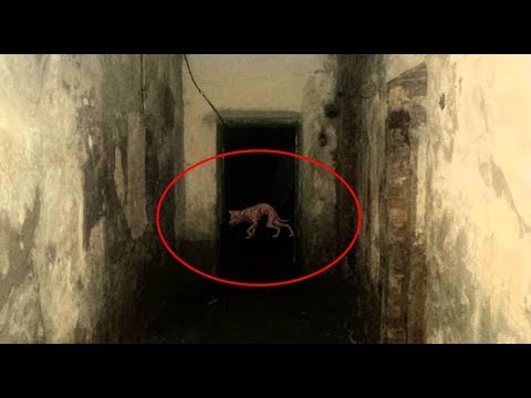 Видео: Вызов духов - Крикун ОН ПРИШЁЛ И СЖЁГ ЛИСТОК!!!