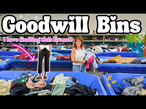 Видео: Почему сегодня все были так взволнованы в BINS?! ~ GOODWILL OUTLET КОМИССИОННЫЙ ВЫБОР ~ Оплата по...