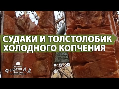 Видео: Вы должны это попробовать! Судаки и Толстолобик холодного копчения. Коптильни ИП Федотов А. В.